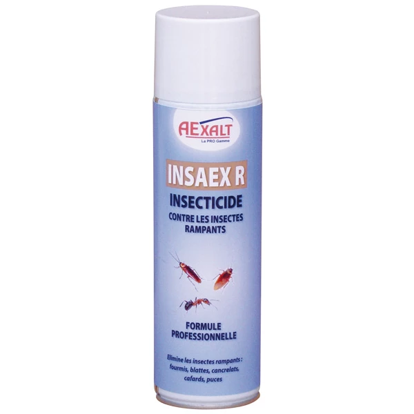 Produits Insecticide Insecticide Insaex Rampant Aérosol De 650 Ml : Aexalt IR077 3 Produits Insecticide Insecticide Insaex Rampant Aérosol De 650 Ml : Aexalt IR077