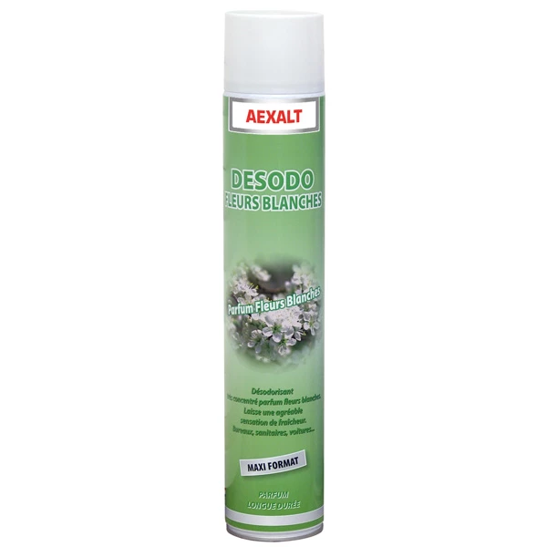 Désodorisants Professionnels Désodorisant Fleurs Blanches Maxi Aérosol De 1000 Ml : Aexalt DES317 3 Désodorisants Professionnels Désodorisant Fleurs Blanches Maxi Aérosol De 1000 Ml : Aexalt DES317