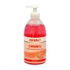 Savon Liquide Et Crème Lavante Savon Crème Flacon De 500 Ml : Aexalt CL032 3760070260328 -Droguerie Soldes Boutique p181300