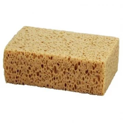 Eponges Et Micro Fibres Eponge Hydrophyle 170 X 110 X 70 Mm : Aexalt EP098 3760070260984